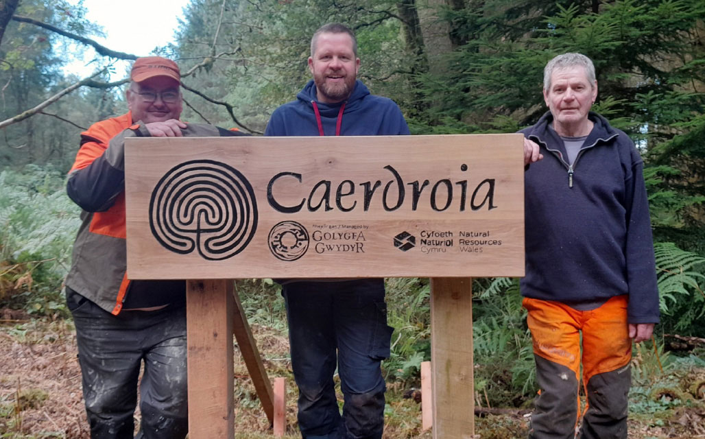 GG_Web_WhatWeDo_Caerdroia_01