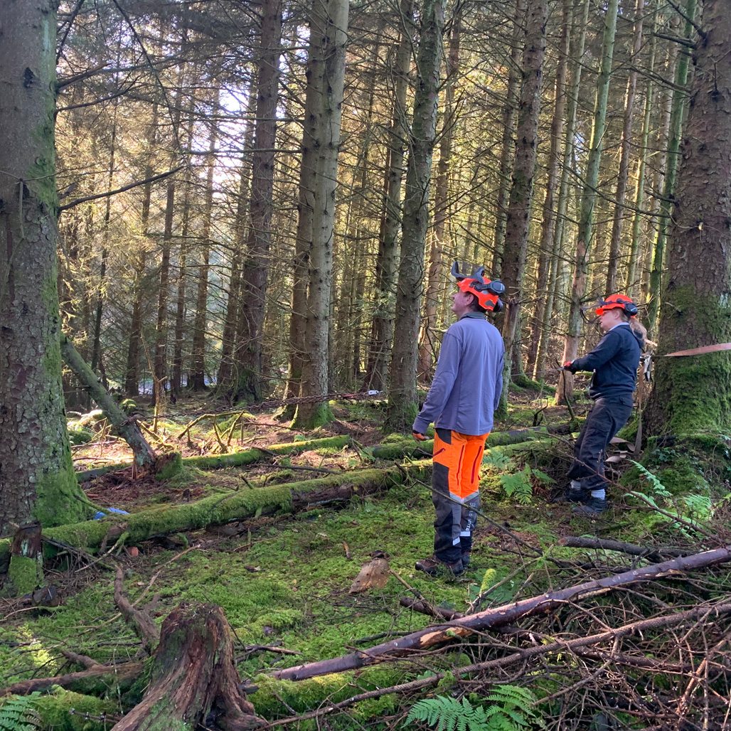 GG_Web_WhatWeDo_Woodland_Management_02